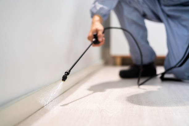 Bed Bug Pre-Treatment Preparation Assessment in Lower Grand Lagoon