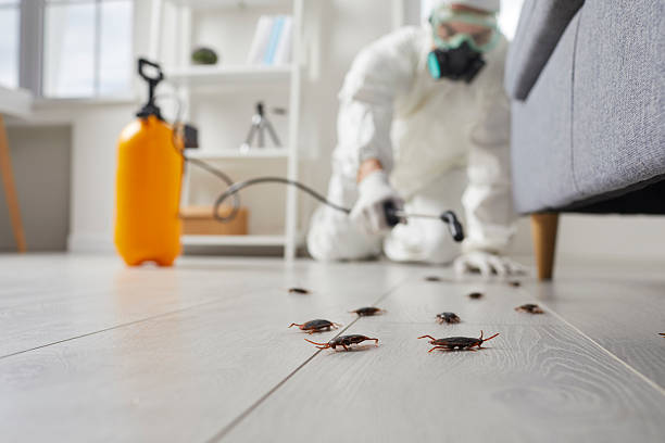Post-Treatment Bed Bug Interceptor Monitoring in Lower Grand Lagoon