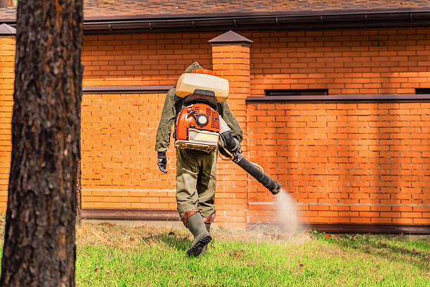 Bed Bug Clearance Verification and Documentation in Lower Grand Lagoon
